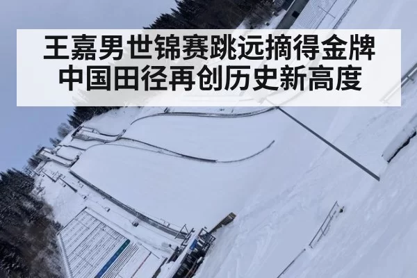王嘉男世锦赛跳远摘得金牌 中国田径再创历史新高度